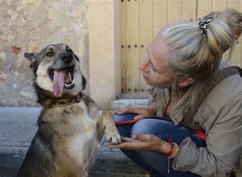 videos de solofilia|'sofilia con perros' Search .